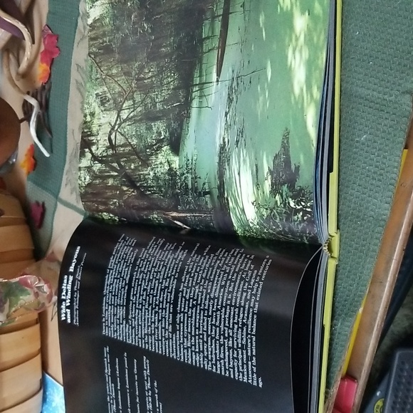 💙THE WILD PLACES - Picture 6 of 12